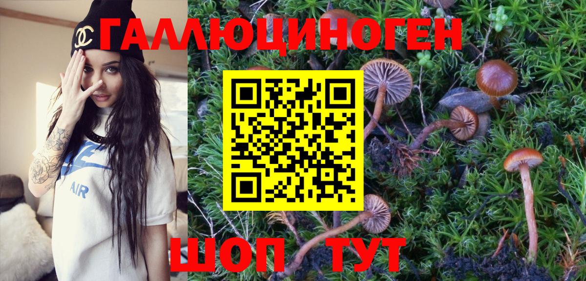 Югорск  Галлюциногенные грибы Psilocybine cubensis  Вход с VPN 